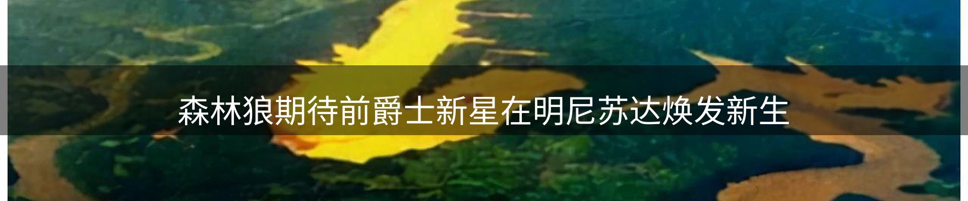 焦点探析